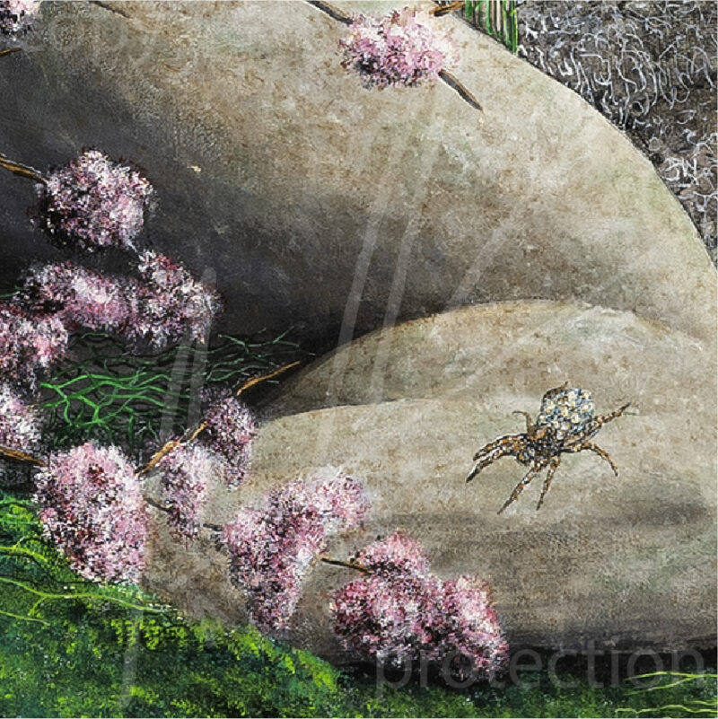 Originalbild Nr.008 "Beseelte Geburt" – Bild 16